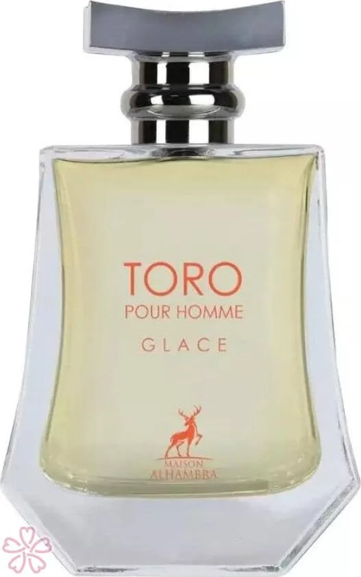 Парфюмированная вода для мужчин Alhambra Toro pour Homme Glace 100 мл