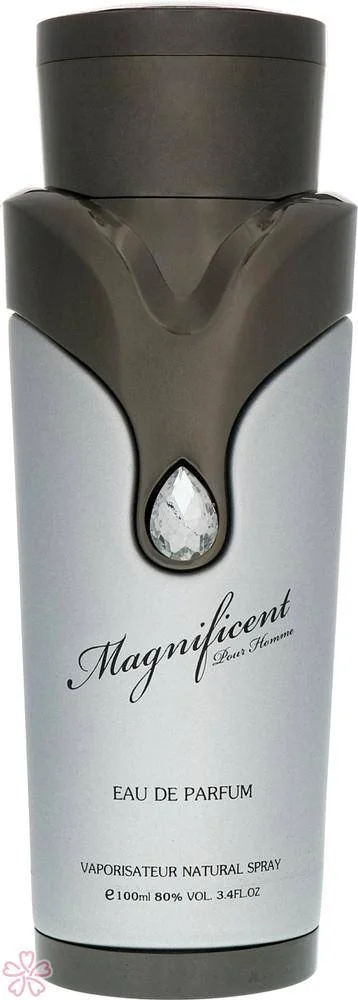 Парфюмированная вода для мужчин Armaf Magnificent Pour Homme 100 мл