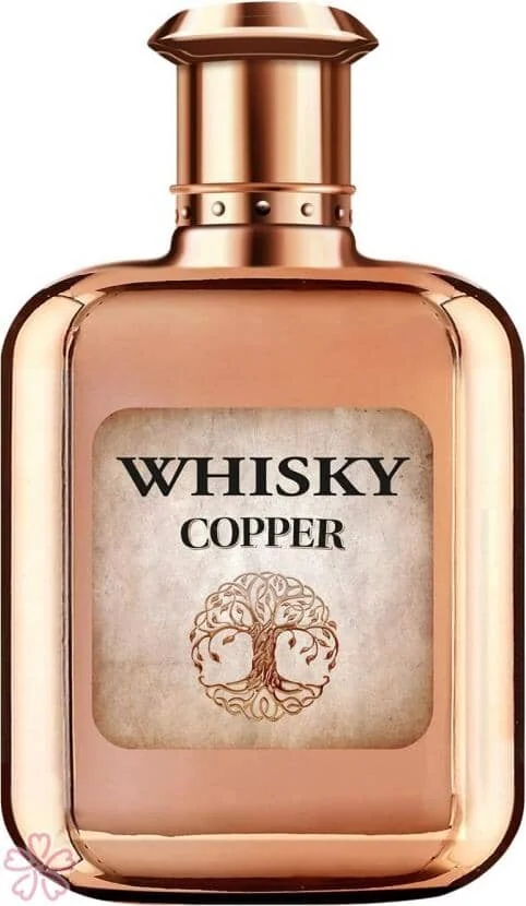 Парфюмированная вода для мужчин EVAFLOR Whisky Copper 100 мл