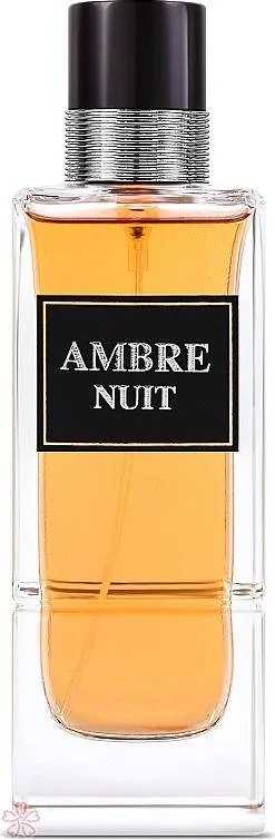 Парфюмированная вода для мужчин Fragrance World Ambre Nuit 100 мл