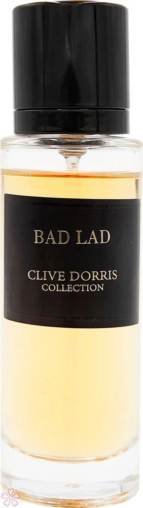 Парфюмированная вода для мужчин Fragrance World Bad Lad 30 мл