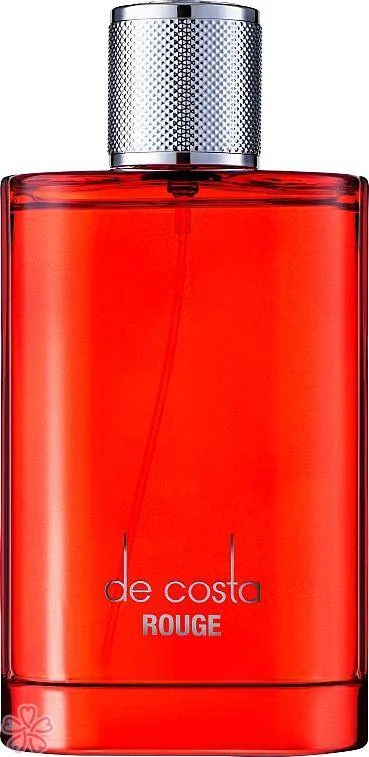 Парфюмированная вода для мужчин Fragrance World Decosta Rouge 100 мл