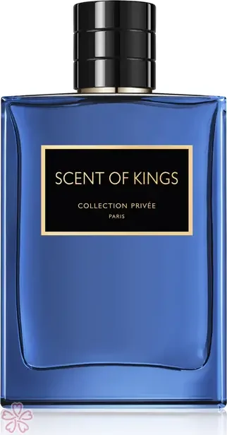 Парфюмированная вода для мужчин Geparlys Scent of Kings 100 мл