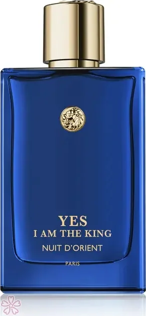 Парфюмированная вода для мужчин Geparlys Yes I Am The King - Nuit d'Orient 100 мл