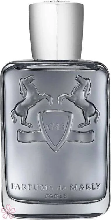 Парфюмированная вода для мужчин Parfums de Marly Castley 75 мл