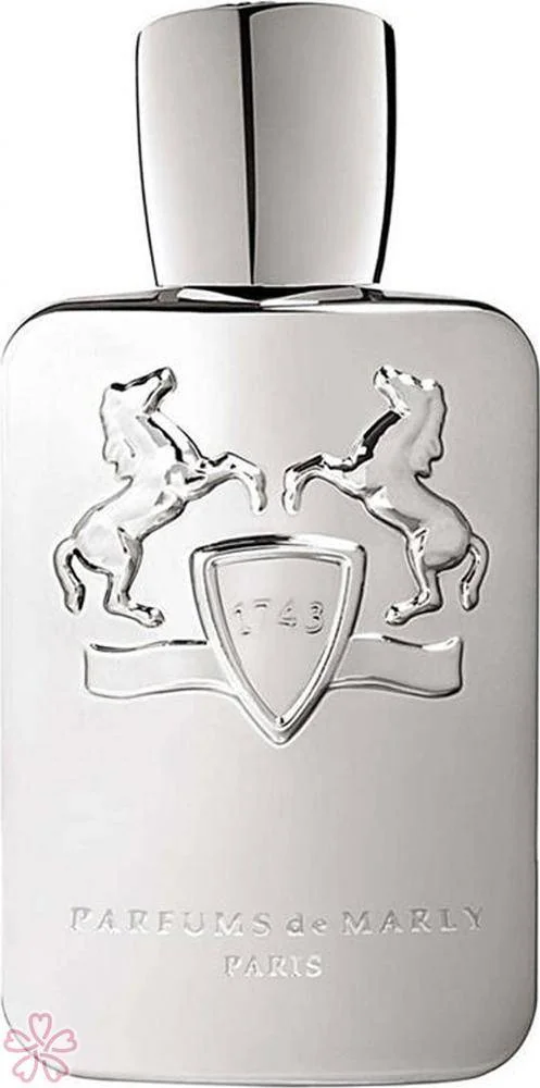 Парфюмированная вода для мужчин Parfums de Marly Pegasus 75 мл
