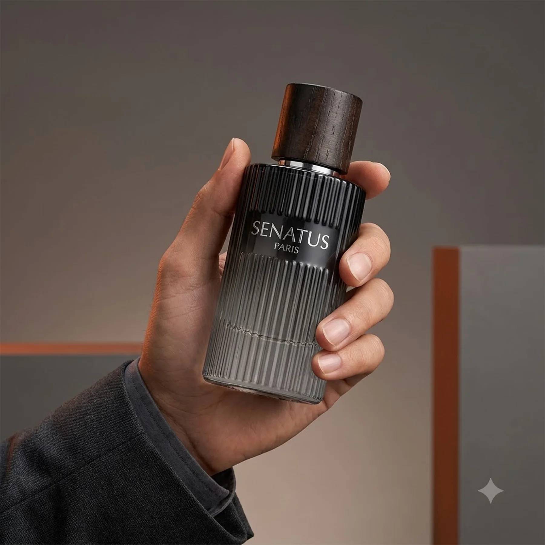 Парфюмированная вода для мужчин Prestige Parfums Senatus Black 100 мл