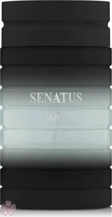 Парфюмированная вода для мужчин Prestige Parfums Senatus Black 100 мл