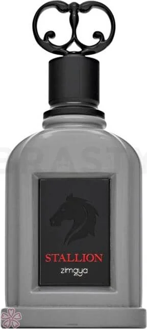 Парфюмированная вода для мужчин Zimaya Stallion 100 мл