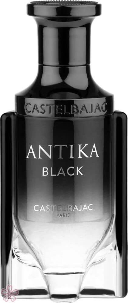 Парфюмированная вода для женщин Castelbajac Antika Black 100 мл
