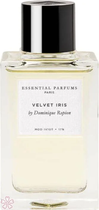 Парфюмированная вода для женщин Essential Parfums Velvet Iris 100 мл