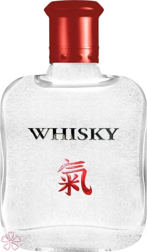 Парфюмированная вода для женщин EVAFLOR Whisky Spirit 100 мл