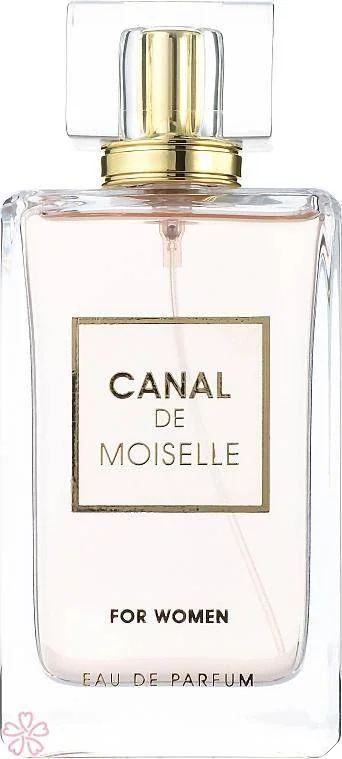 Парфюмированная вода для женщин Fragrance World Canal De Moiselle 100 мл