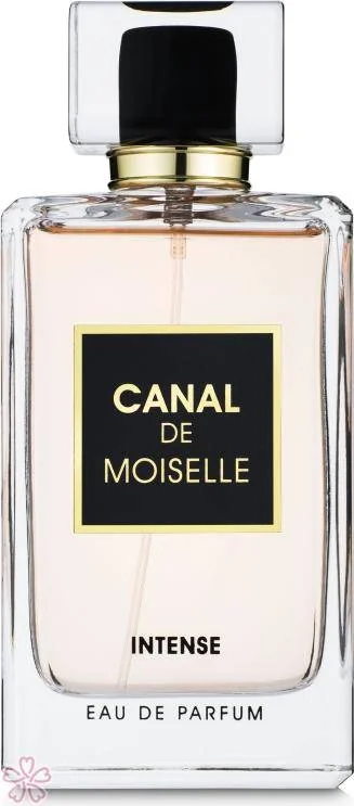 Парфюмированная вода для женщин Fragrance World Canal De Moiselle Intense 100 мл