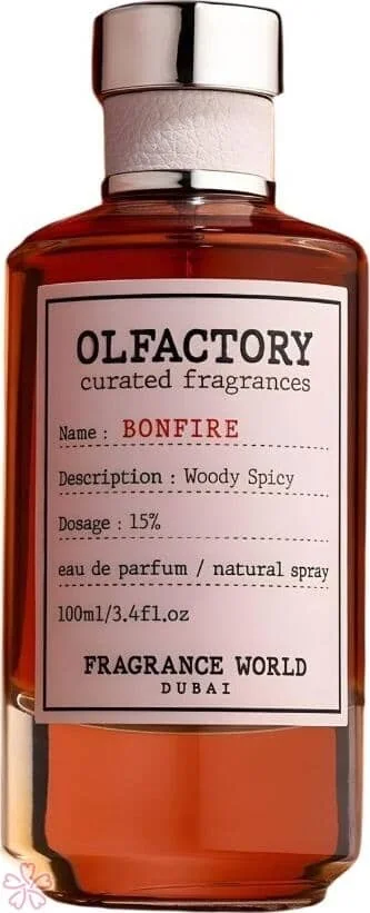 Парфюмированная вода для женщин Fragrance World Olfactory Bonfire Eau de Parfum 100 мл