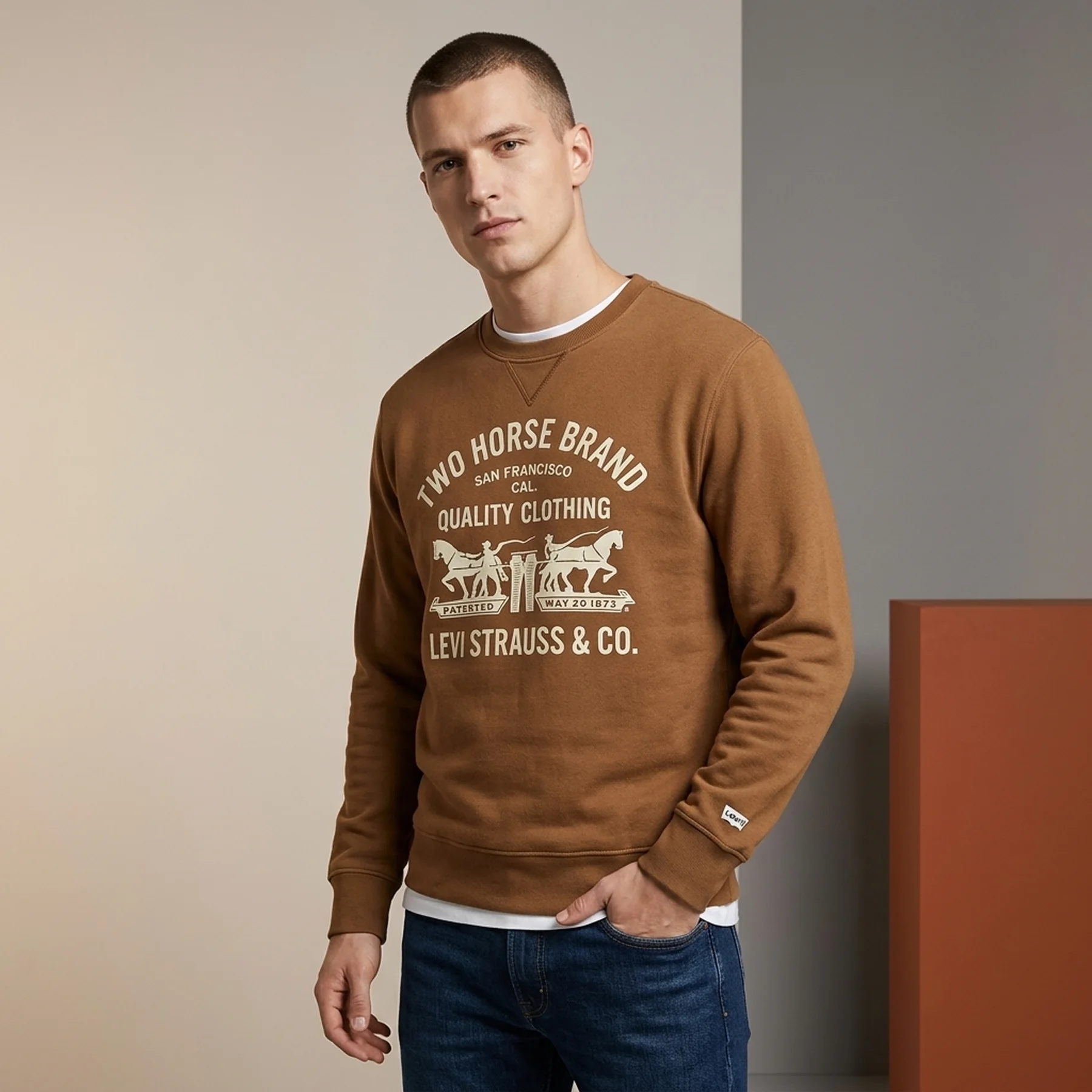 Світшот з принтом Levi's на флісі 1159858075