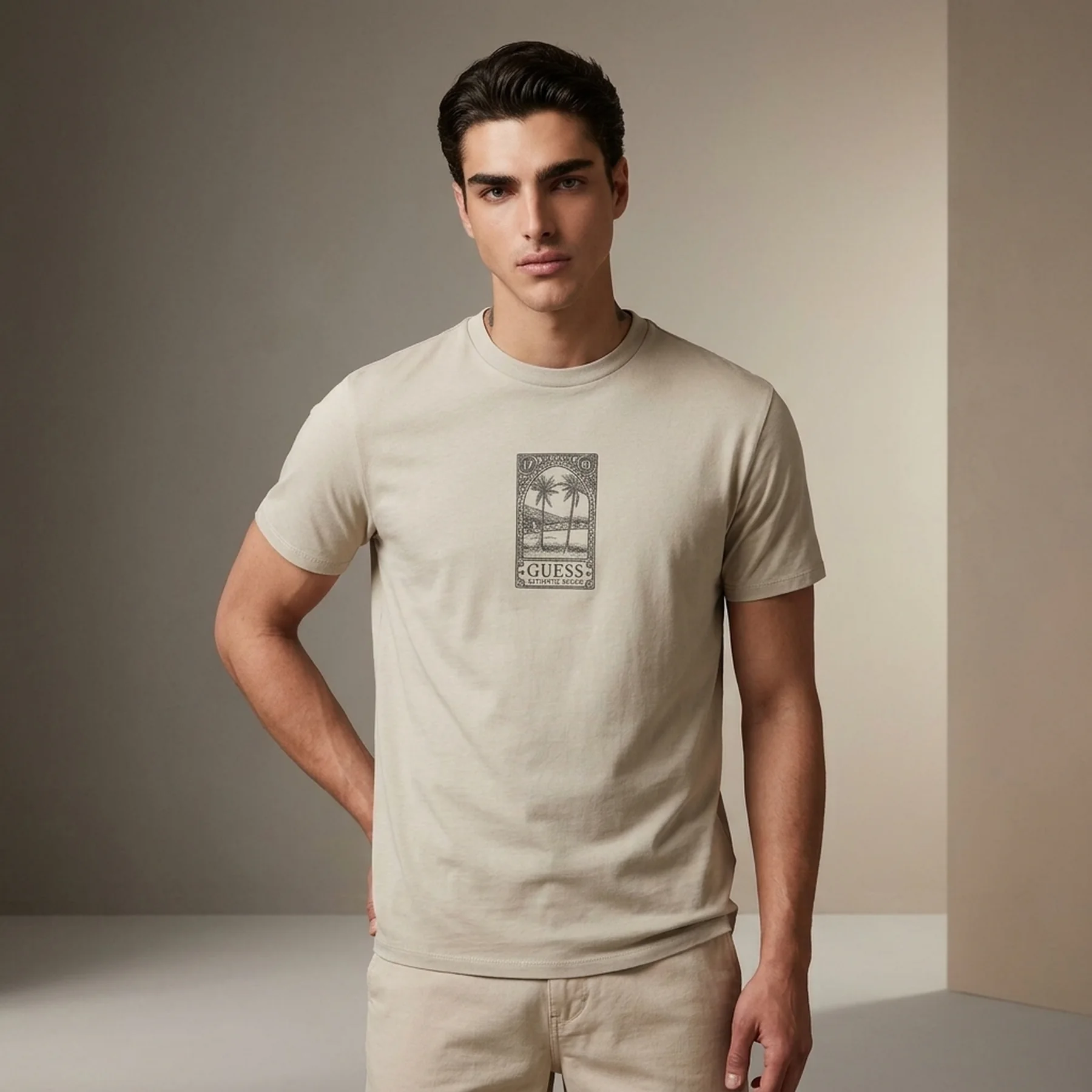 Чоловічі футболки Guess 1159855027