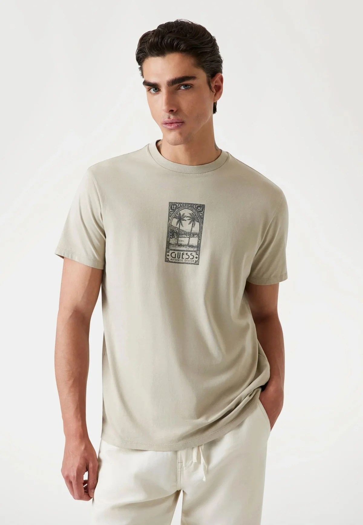 Чоловічі футболки Guess 1159855027