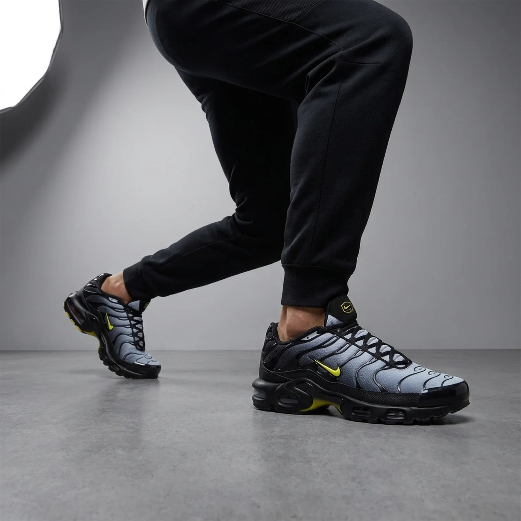 Кросівки чоловічі Nike Air Max Plus (DM0032-012)