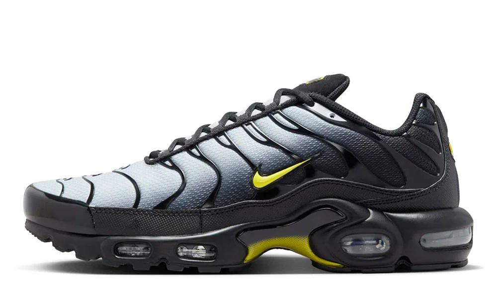 Кросівки чоловічі Nike Air Max Plus (DM0032-012)