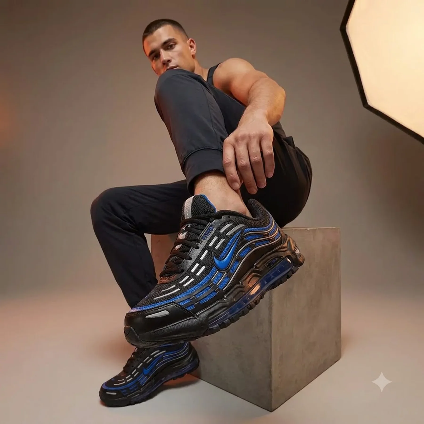 Чоловіче взуття Nike Nike Air Max TL 2.5