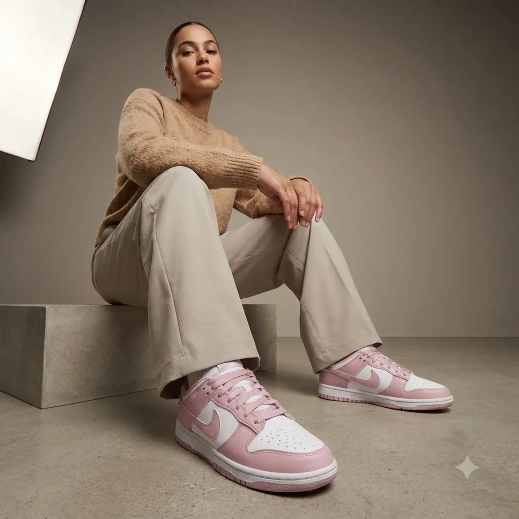 Жіночі кросівки NIKE DUNK LOW IM6572-103