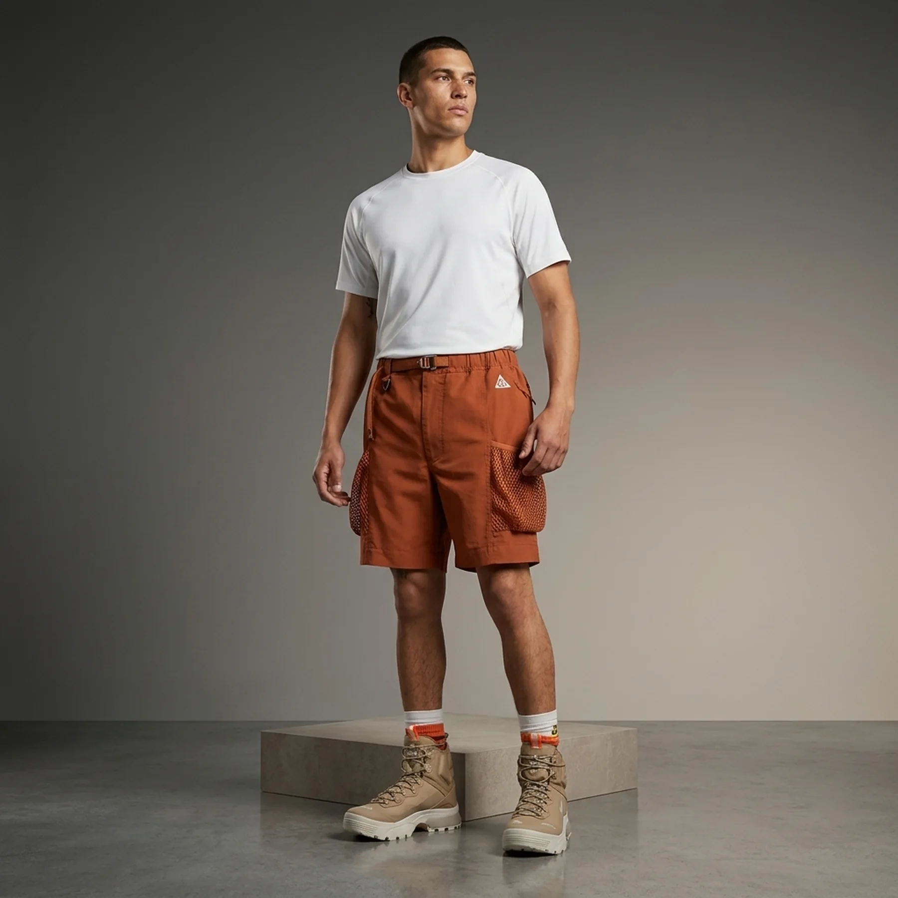Шорти чоловічі Nike Acg Short Snowgrass (DV9405-246)