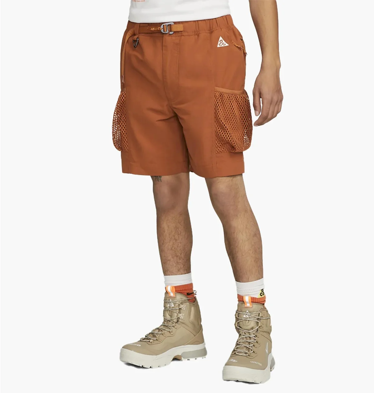 Шорти чоловічі Nike Acg Short Snowgrass (DV9405-246)