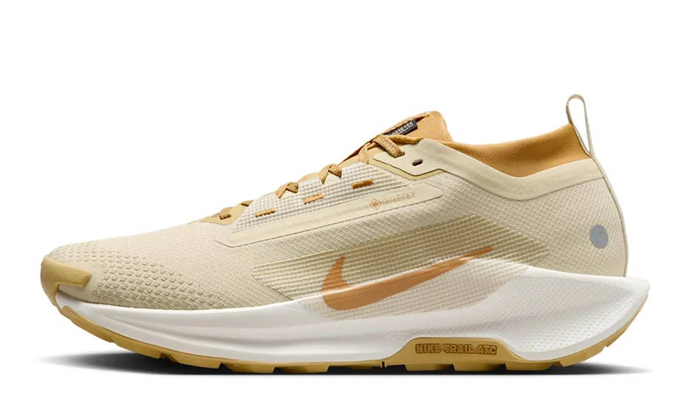Кросівки Nike ReactX Pegasus Trail 5 GTX SP