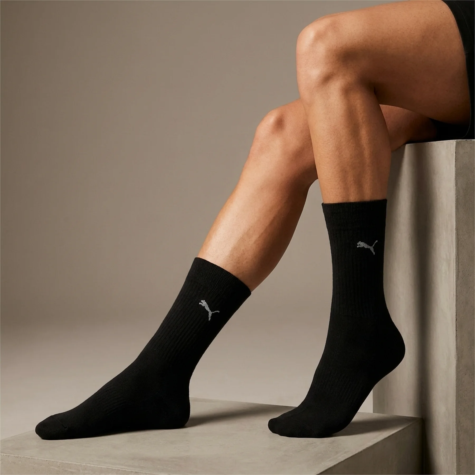 Шкарпетки Puma Classic 2P (90712803)