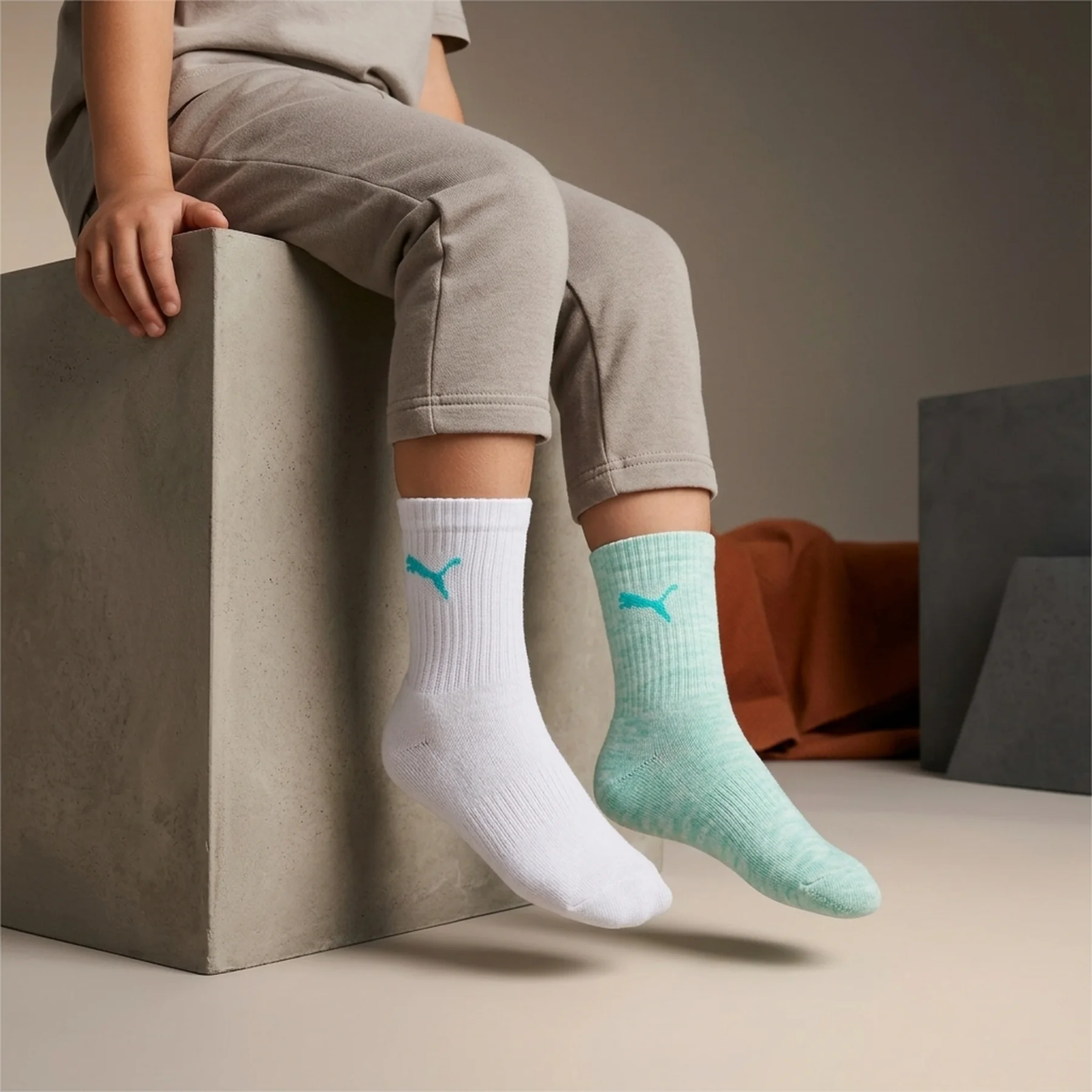 Шкарпетки Puma KIDS CLASSIC SOCK 2 пари