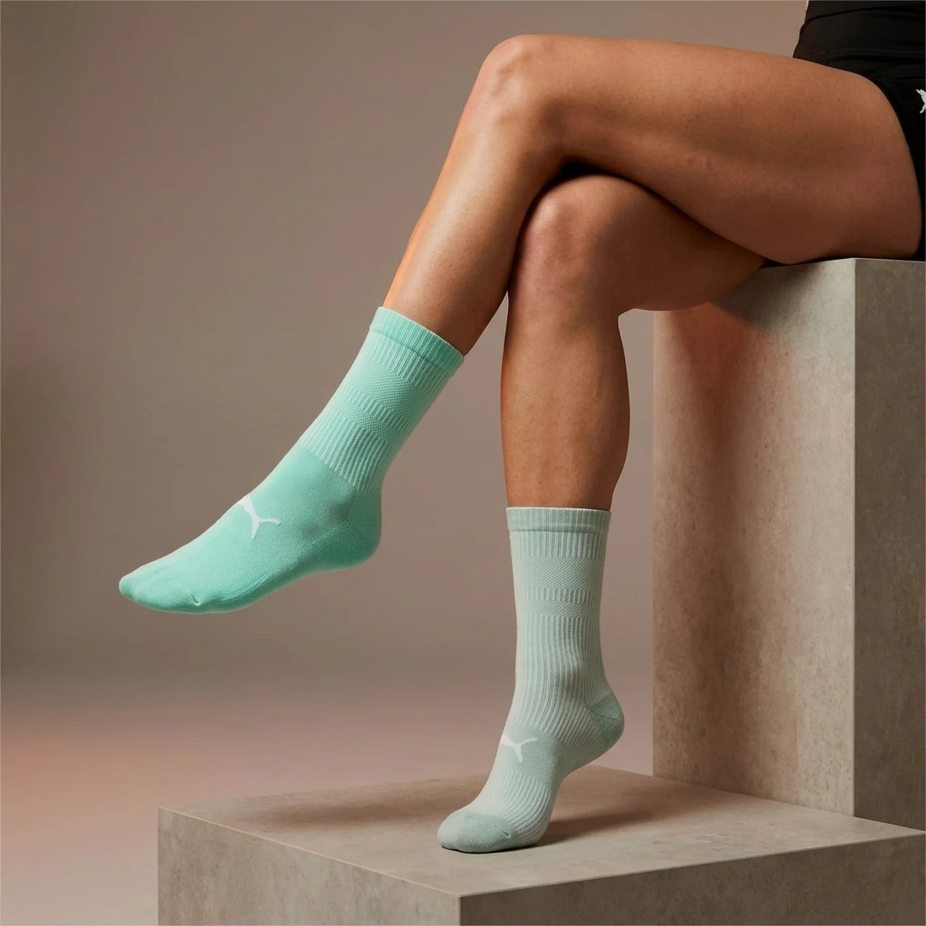 Шкарпетки Puma SOCK CLASSIC WOMEN 2 пари