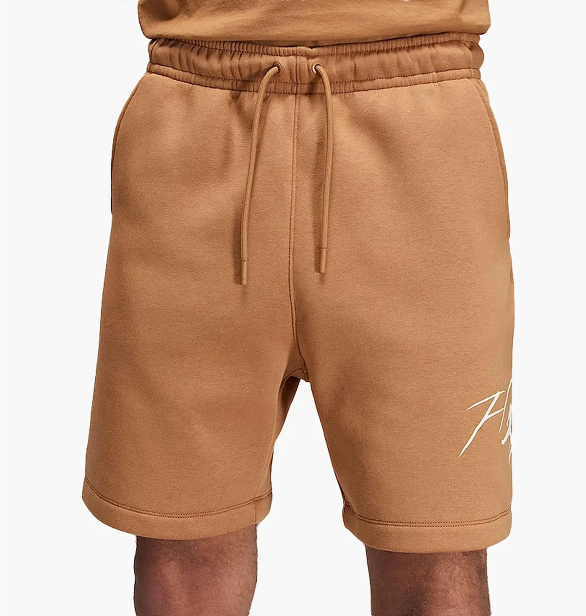 Шорти чоловічі Jordan Brooklyn Fleece Shorts (FN4535-231)