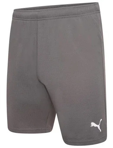 Шорти чоловічі Puma Teamrise Short (704942-13)