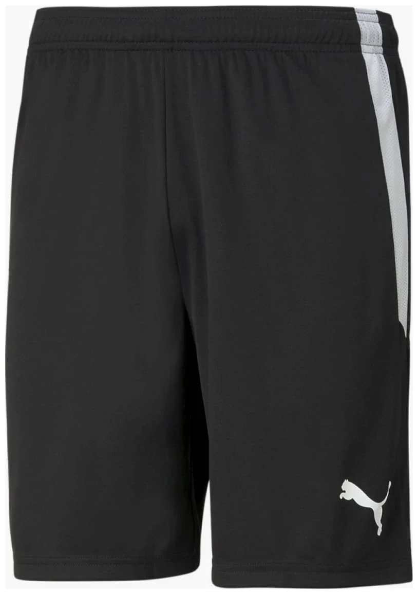 Шорти Puma teamLIGA Shorts