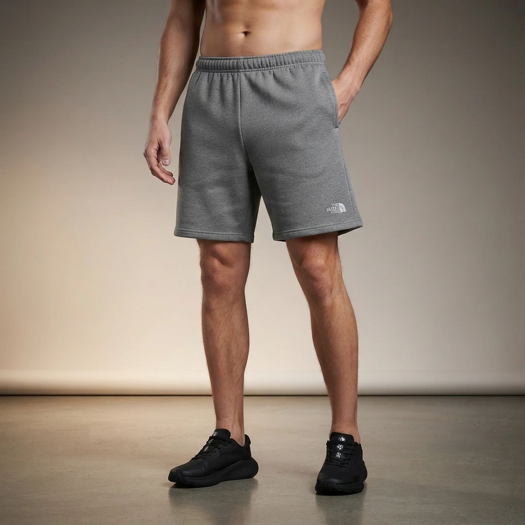 Шорти The North Face Short Evolution Emb grey