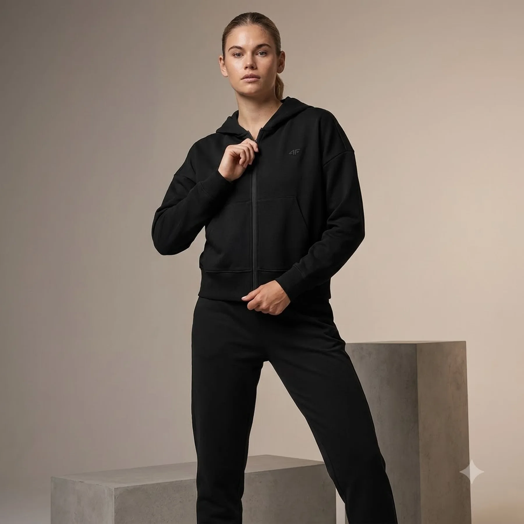 Спортивне худі SWEATSHIRT F1306 4FWAW24TSWSF1306-20S 4F L Чорний