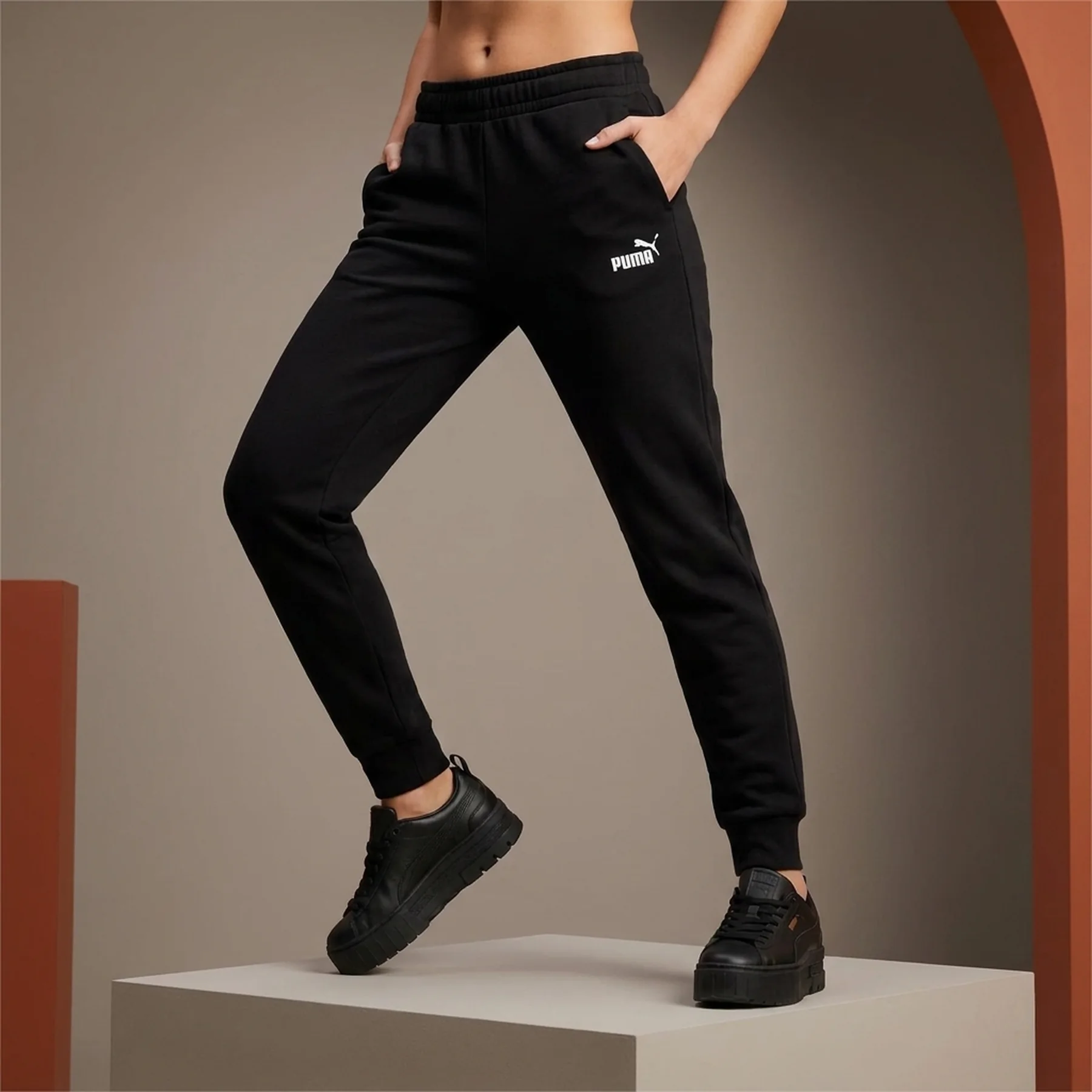 Спортивні штани ESS No. 1 Logo Sweatpants 68244801 Puma L Чорний