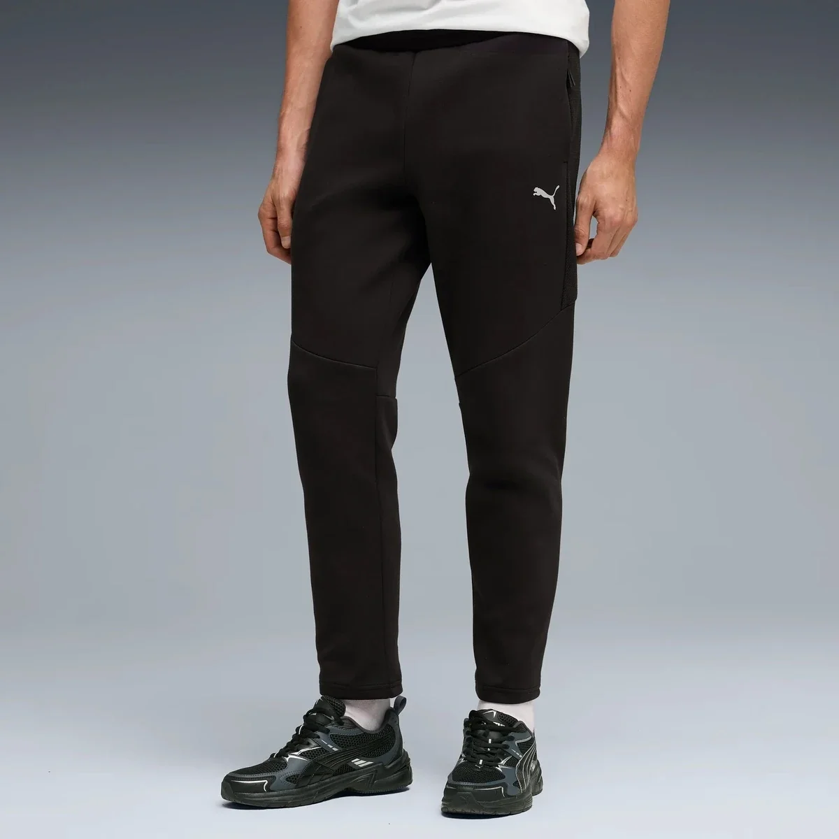 Спортивні штани EVOSTRIPE Pants 69219101 Puma L Чорний