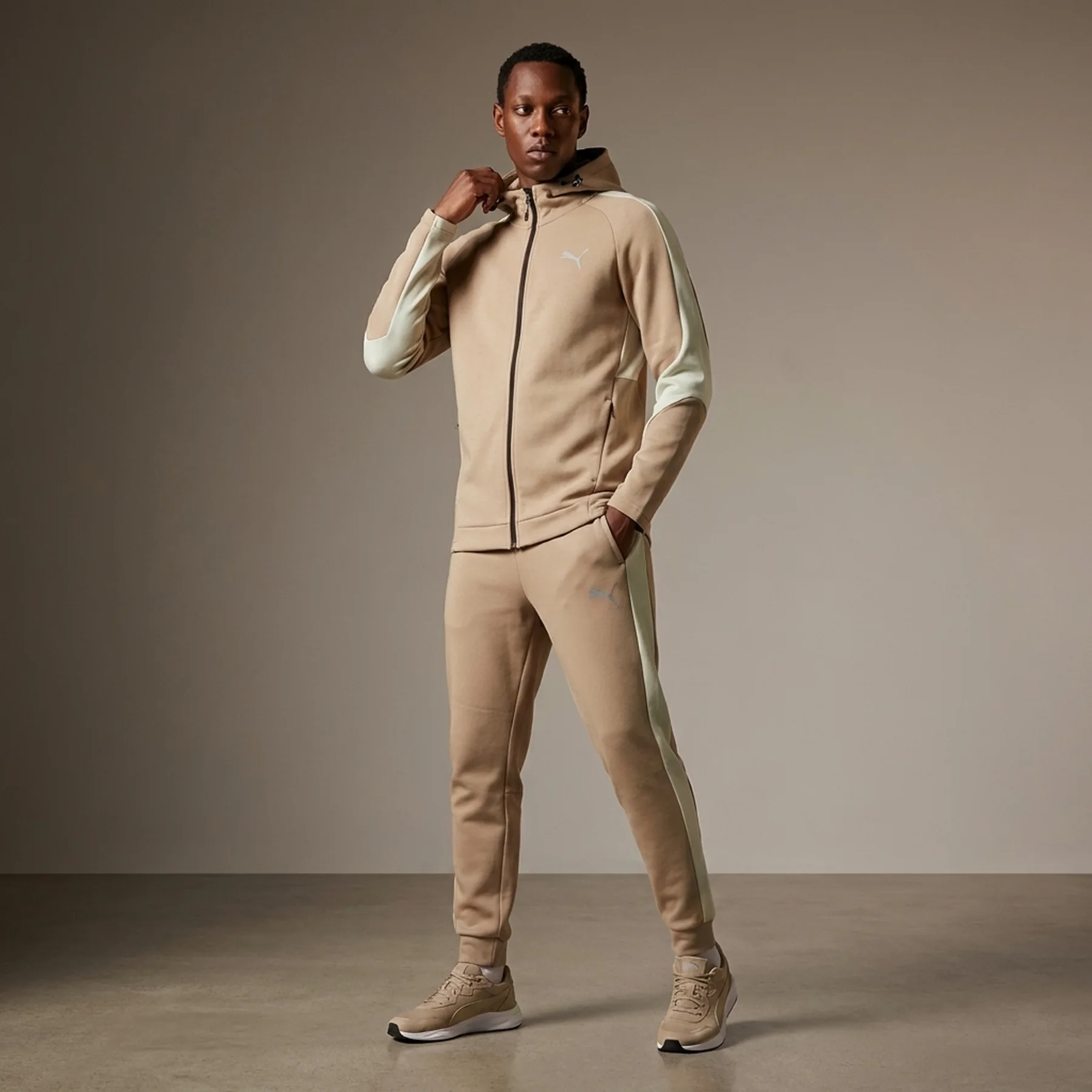 Спортивний костюм чоловічий Puma Evo Stripe Full Zip Hoodie (681700-67_681702-67)
