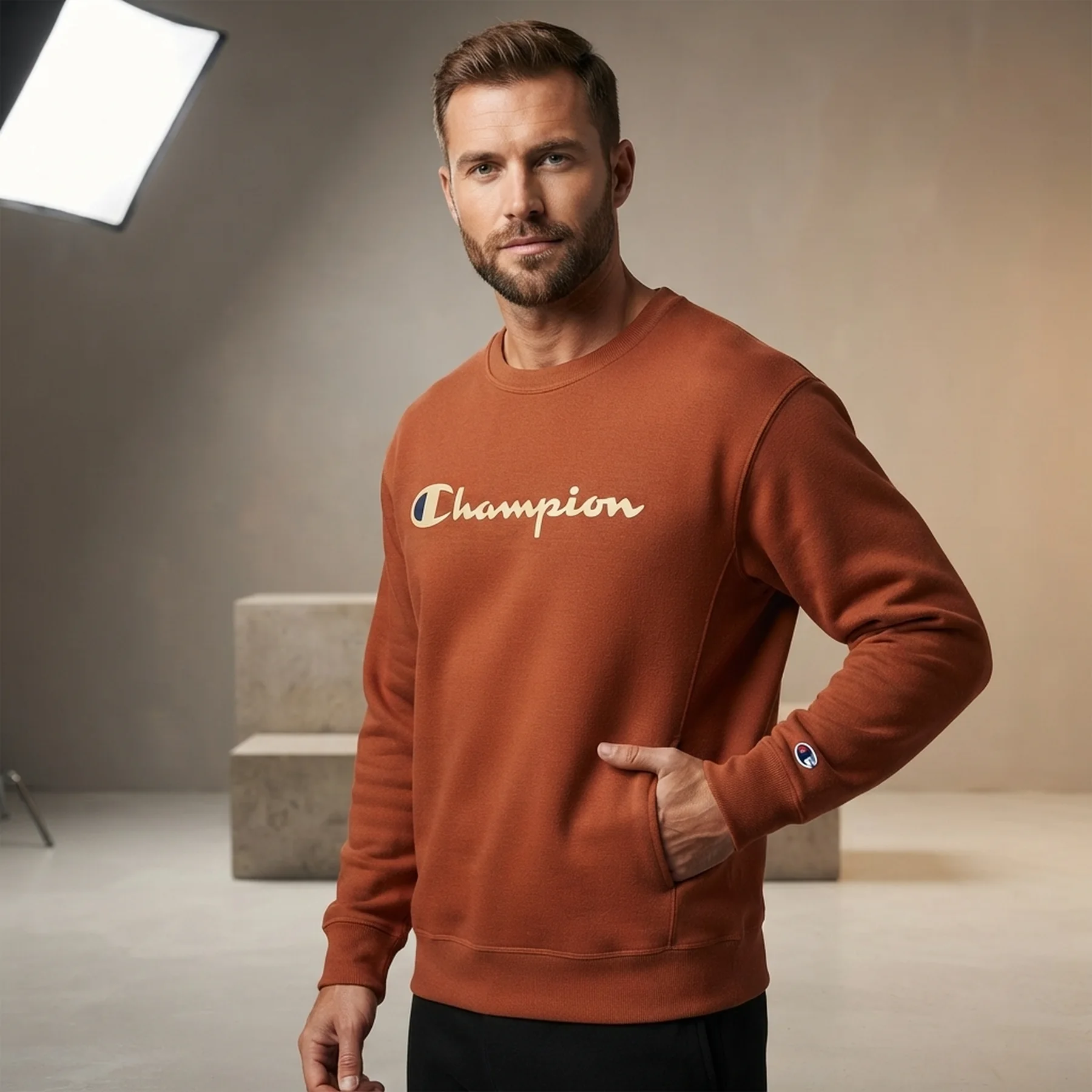 Світшот чоловічий Champion