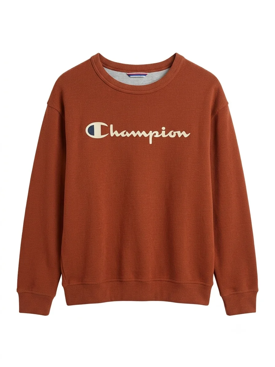 Світшот чоловічий Champion
