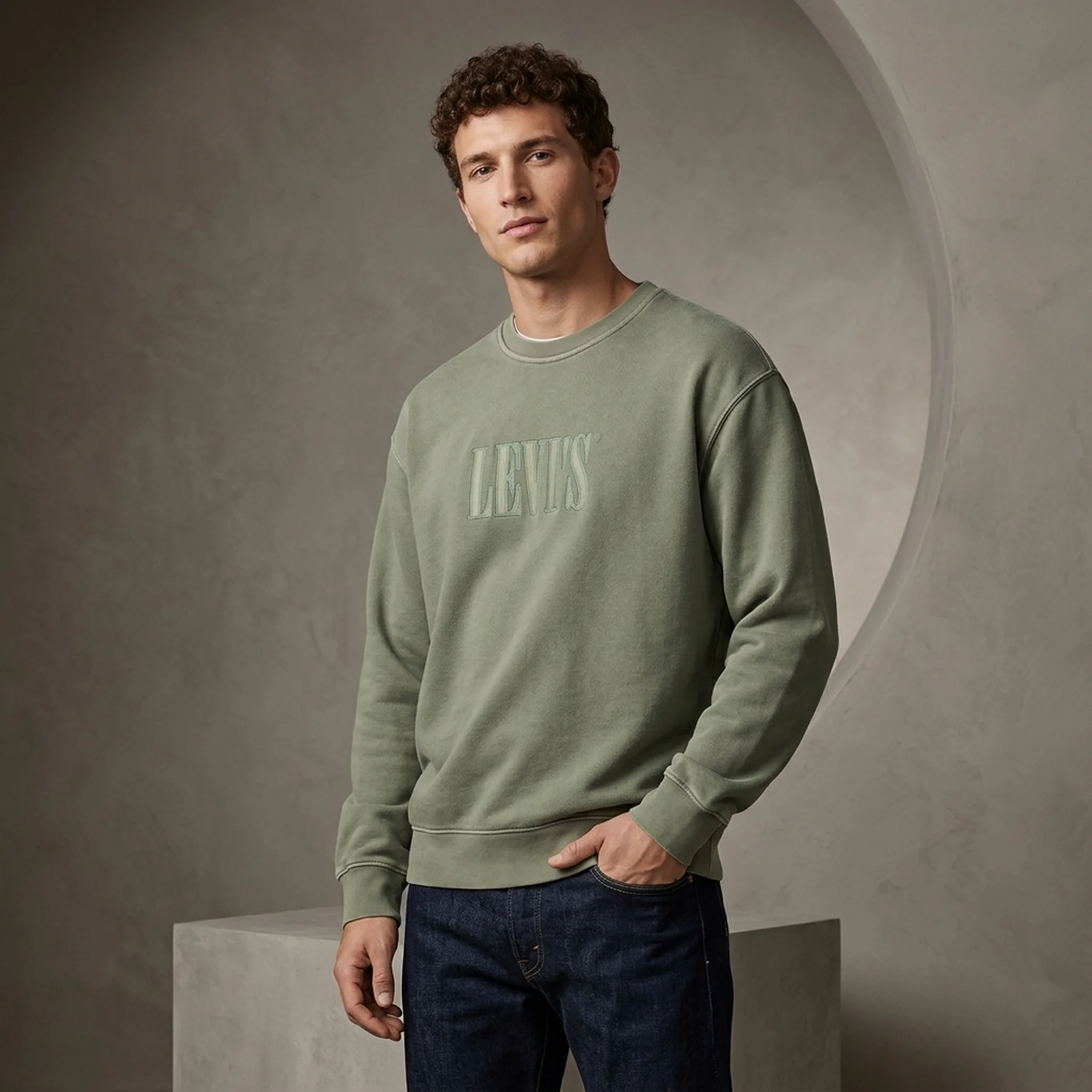 Світшот Levis Sweatshirt