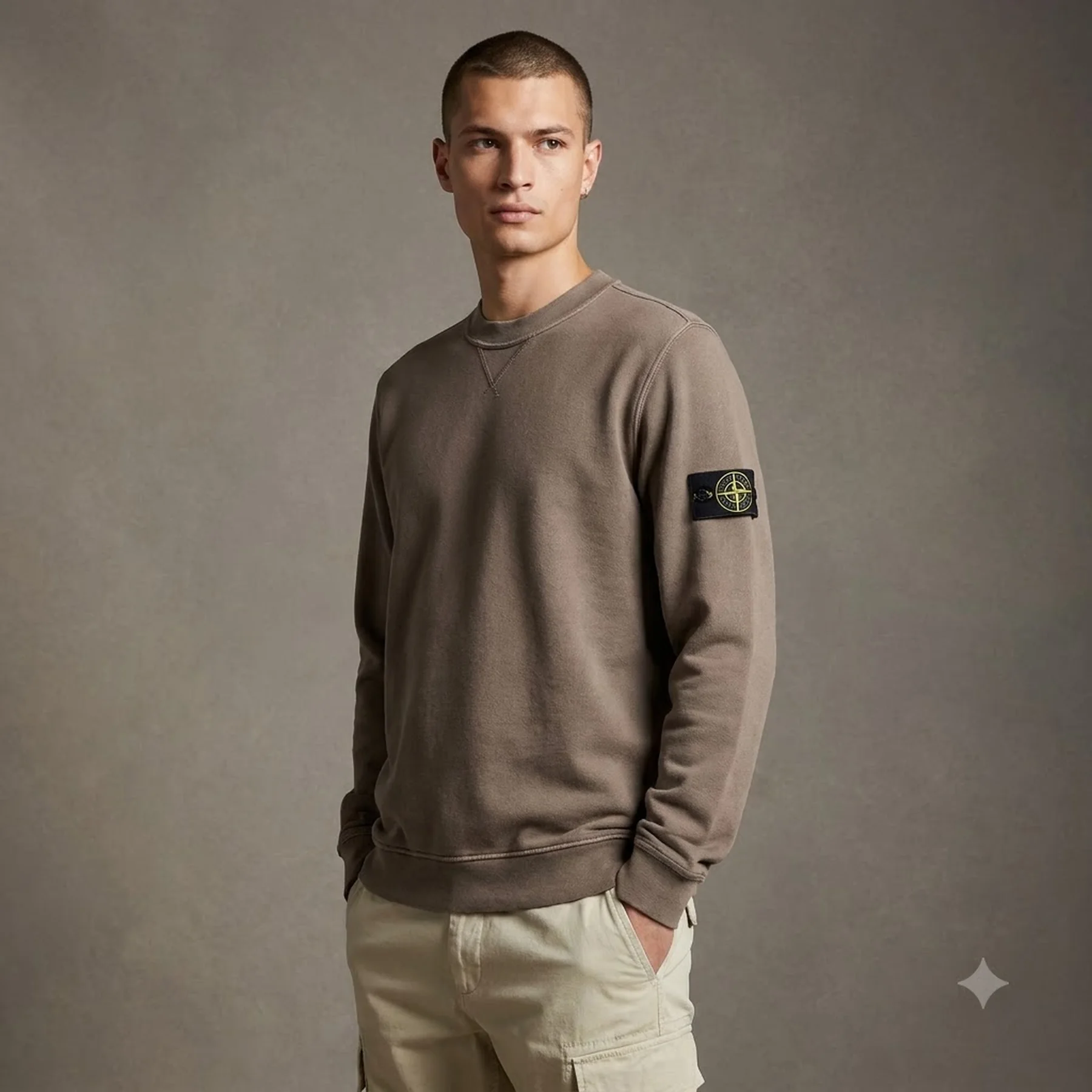 Світшот Stone Island Dyed 'Walnut'