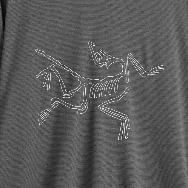 Термобілизна чоловіча Arc'teryx Cormac Logo Grey (X000008452)