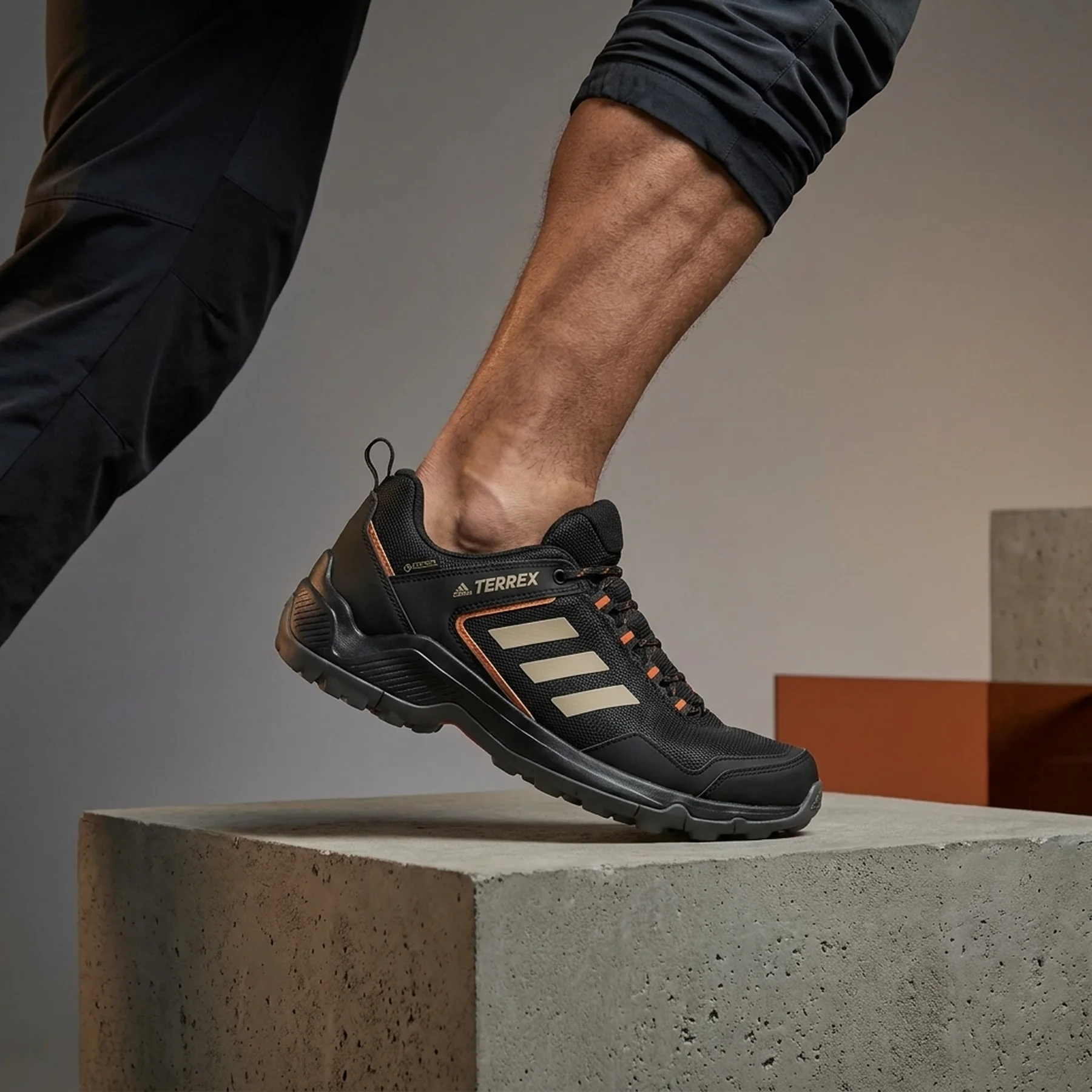 Terrex Eastrail Gtx
