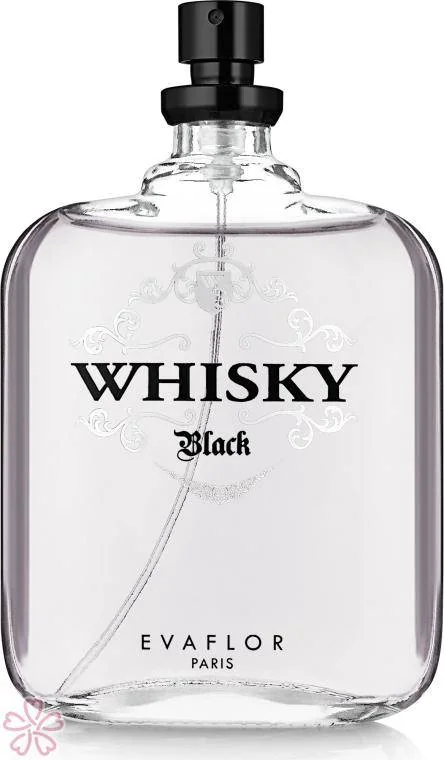 Тестер (Туалетная вода) для мужчин EVAFLOR Whisky Black 100 мл