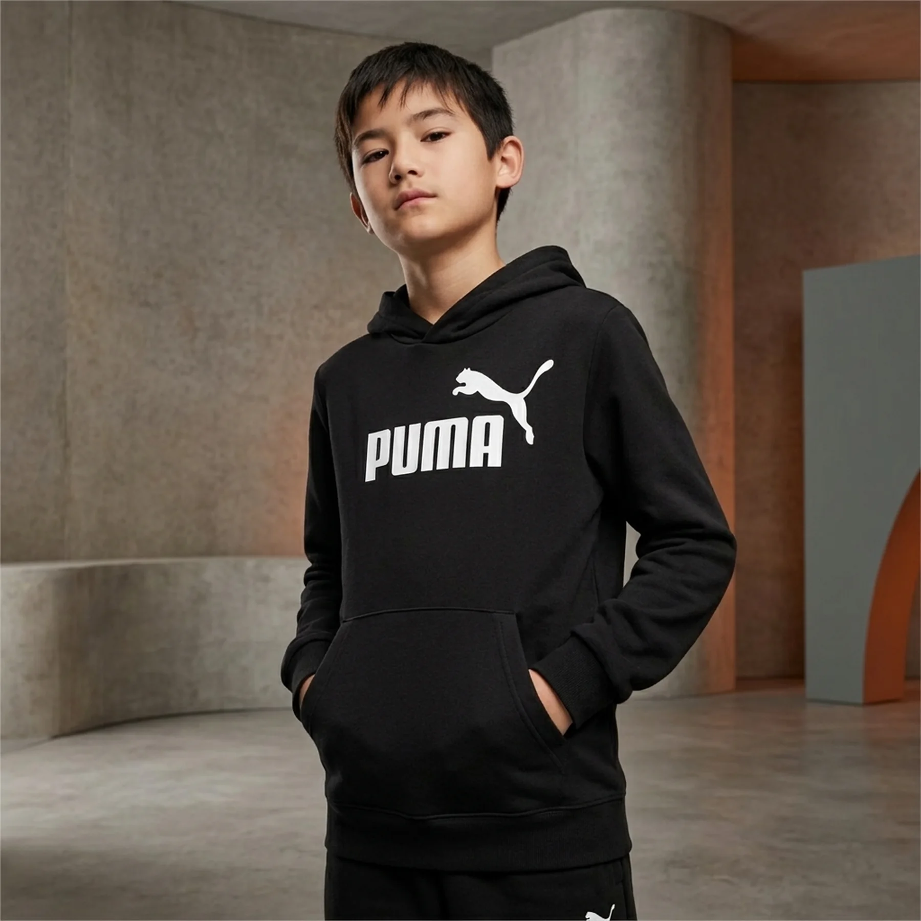 Толстовка підліткова ESS No. 1 Logo Hoodie TR 68490901 Puma 176 Чорний