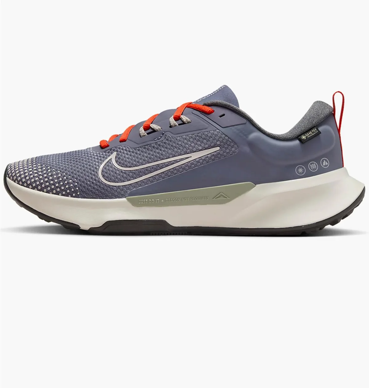 Трейлові кросівки для бігу чоловічі Nike Juniper Trail 2 Gtx (FB2067-006)
