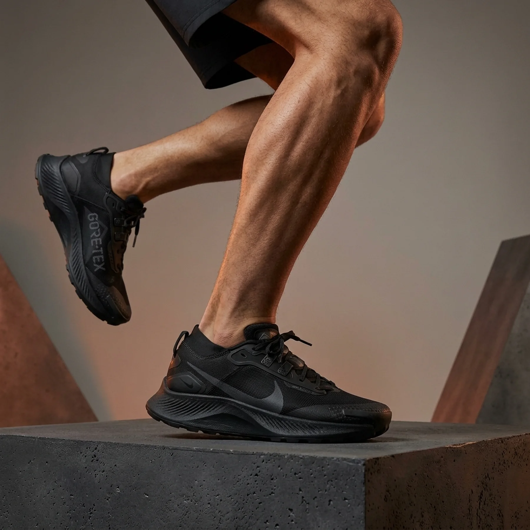 Трейлові кросівки для бігу чоловічі Nike React Pegasus Trail Gore - Tex (DJ7926-008)